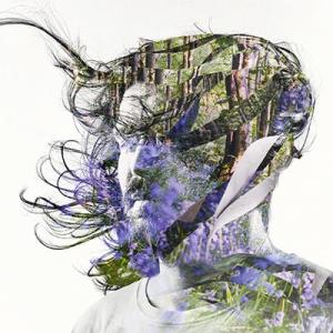 Bibio Ribbons LP