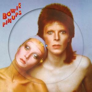 David Bowie Pin Ups＜Picture Vinyl＞ LP