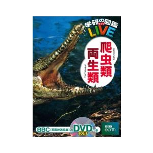 岡本卓 学研の図鑑live 爬虫類 両生類 Book タワーレコード Yahoo 店 通販 Yahoo ショッピング