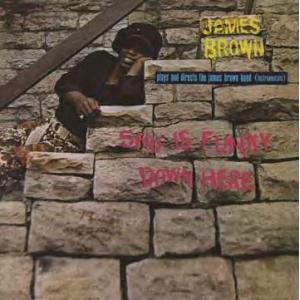The James Brown Band Sho Is Funky Down Here CD