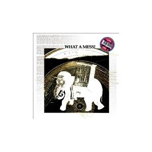 Pepe Bradock What a Mess!＜限定盤＞ LP