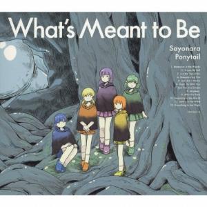 さよならポニーテール 来るべき世界 CD