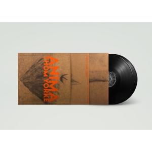 Big Sean Dark Sky Paradise (Deluxe Edition) LP : タワーレコード