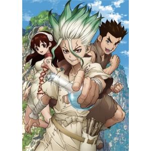 Dr.STONE ドクターストーン 全巻 シーズン1-3 DVD セット : 脳トレ生活