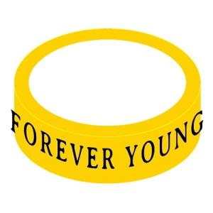 THE FOREVER YOUNG THE FOREVER YOUNG × TOWER RECORDS ラバーバンド Accessories