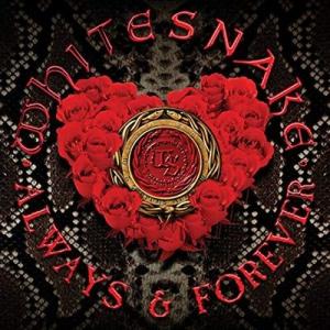 Whitesnake Always &amp; Forever＜Picture Vinyl/限定盤＞ 12i...