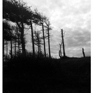 Dakota Suite the indestructibility of the already ...