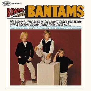 The Zombies ビギン・ヒア CD : タワーレコード Yahoo!店 - 通販