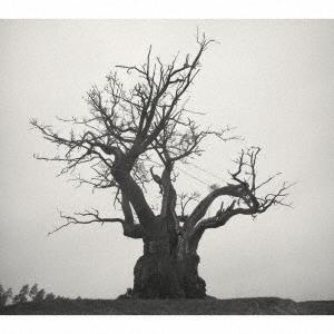 トイズファクトリー SEKAI NO OWARI 2010-2019 （通常盤）（2CD） TFCC