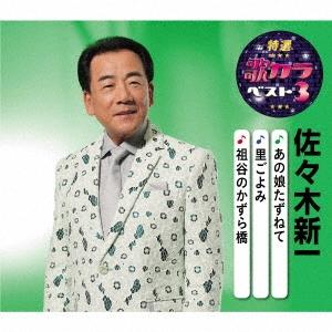 佐々木新一 あの娘たずねて/里ごよみ/祖谷のかずら橋