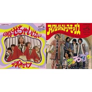 ミュージック the street sliders/enjoy the moment DVD THE STREET SLIDERS The Street Sliders 40th Anniversary Final