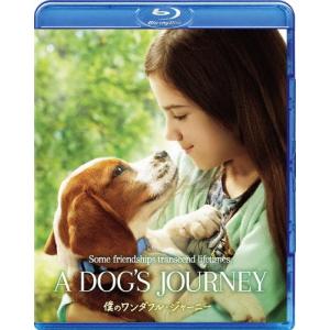 ファイトソング / DVD-BOX （TBSオリジナル特典付き・送料無料・6枚組