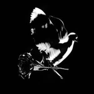 Nicki Parrott ムーン・リバー LP : タワーレコード Yahoo!店 - 通販