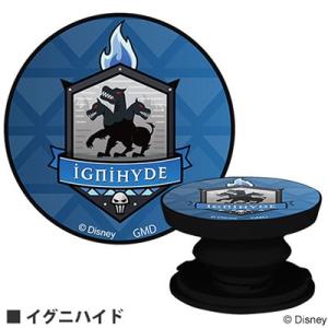 ディズニー ツイステッドワンダーランド POCOPOCO イグニハイド Accessories