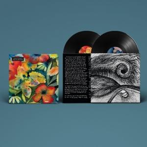 Adrianne Lenker Songs and Instrumentals LP