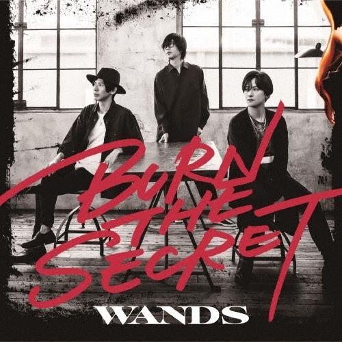 WANDS BURN THE SECRET＜通常盤＞ CD