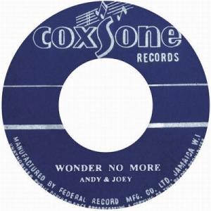Andy &amp; Joey WONDER NO MORE/HEAVEN &amp; EARTH 7inch Si...