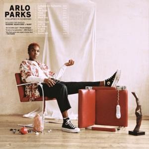 Arlo Parks Collapsed In Sunbeams CD