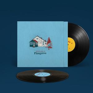 Pinegrove Amperland, NY＜初回生産限定盤＞ LP