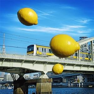 cali≠gari 【15 予告版】＜檸檬盤＞ CD