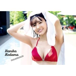 兒玉遥 兒玉遥 OFFICIAL CALENDAR 2021-2022 ［CALENDAR+DVD］...