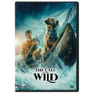 ロード オブ モンスターズ 地上最大の決戦 Dvd タワーレコード Paypayモール店 通販 Paypayモール