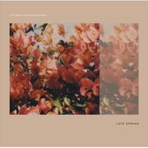 Chihei Hatakeyama レイト・スプリング CD