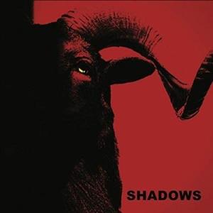 Shadows Shadows LP