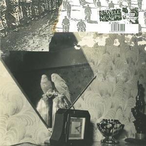 ハルカトミユキ BROKEN ECHO CLUB＜タワーレコード限定/初回生産限定盤