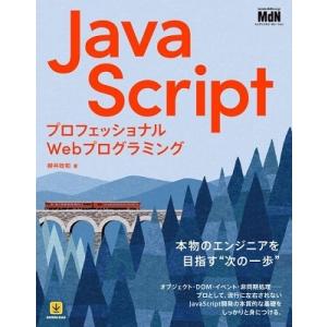 柳井政和 プロフェッショナルWebプログラミング JavaScript Book