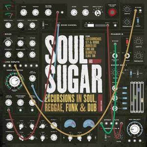 Soul Sugar Excursions in Soul, Reggae, Funk &amp; Dub＜...