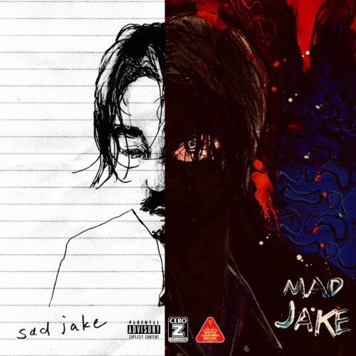 Jin Dogg SADMAD JAKE CD