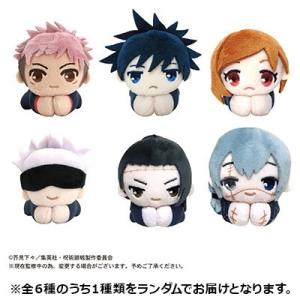 呪術廻戦 はぐキャラコレクション 1&2  Accessories