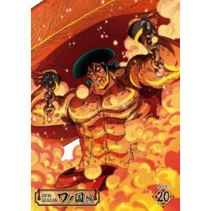 ONE PIECE ワンピース 20THシーズン ワノ国編 PIECE.20 DVD