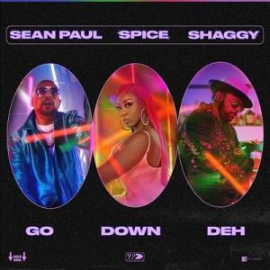 Spice (Reggae) Go Down Deh LP