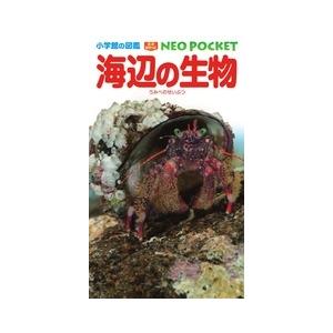 白山義久 小学館の図鑑 NEO POCKET -ネオぽけっと- 海辺の生物 Book