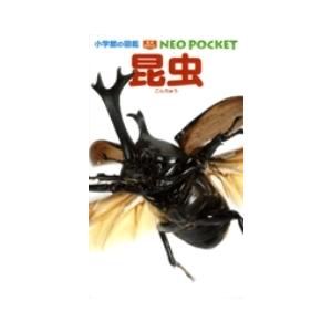 小池啓一 小学館の図鑑 NEO POCKET -ネオぽけっと- 昆虫 Book