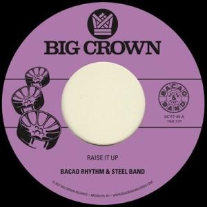 The Bacao Rhythm &amp; Steel Band Raise It Up/Space 7i...
