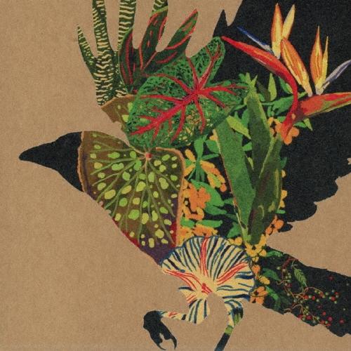 Various Artists @0 CD