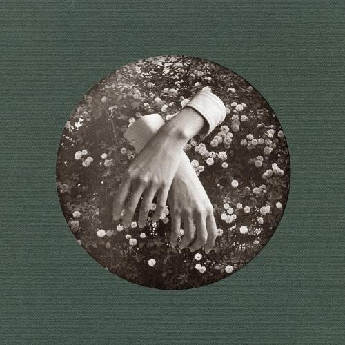 Aspidistrafly A Little Fable LP