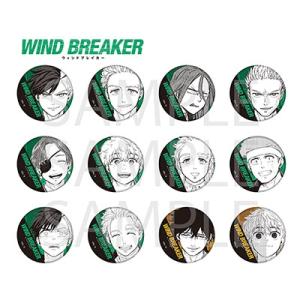 WIND BREAKER トレーディング 缶バッジ  Accessories
