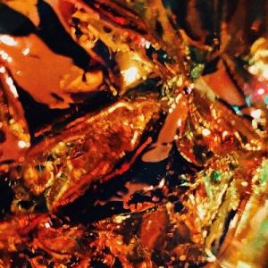 Tempalay from JAPAN 3＜通常盤＞ CD : タワーレコード Yahoo!店