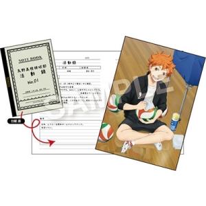ハイキュー 烏野高校排球部活動録 フォトシート 日向翔陽 Accessories