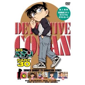 ハルカミライ 武道館 DVD 2023.2.1 日本武道館初単独公演 ハルカミライ「ヨーロー劇場