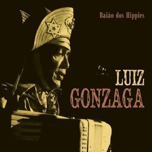 Luiz Gonzaga Baiao Dos H...の商品画像