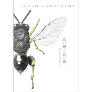 川島逸郎 虫を観る、虫を描く 標本画家川島逸郎の仕事 Book
