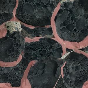 Eric Chenaux Say Laura LP