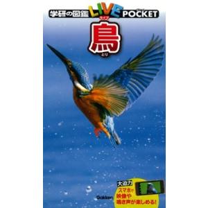 小宮輝之 学研の図鑑LIVEポケット 鳥 Book