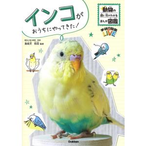 インコがおうちにやってきた! 学研の図鑑 LIVE 動物の飼い方がわかるまんが図鑑 Book