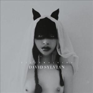 David Sylvian Sleepwalkers＜限定盤＞ CD
